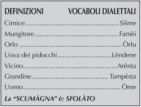 DEFINIZIONI VOCABOLI DIALETTALI
DEFINIZIONI VOCABOLI DIALETTALI
Cimice.....................................................Sìšme
Mungitore...............................................Famèi
Orlo..........................................................Òrlu
Uova dei pidocchi...............................Lèndene
Vicino.....................................................Arènta
Grandine........................................... Tampèsta
Uomo.......................................................Òme
La “SCUMÀGNA” è: SFOLÀTO